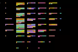 Interaction Design: Programmatic Design