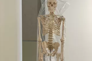 Aufbau Ausstellung Transhuman
